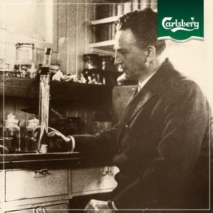 Carlsberg eels