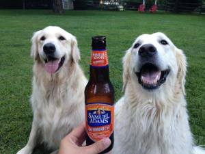 Sam adams 2 dogs
