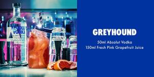 absolut greyhound