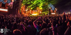 bacardi india bonkers