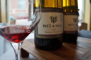 sonoma patz tw jan 16