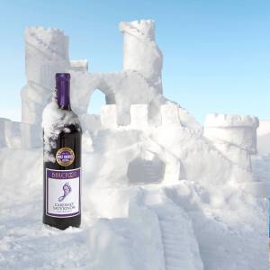 barefoot ice castle fb feb 16