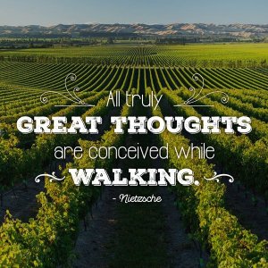 brancott est tw mar 16