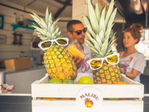 malesp pineapples tw apr 16