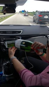 pol roger hickstead tw 26616