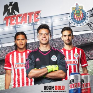 tacate born bold tw 26616