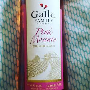 13151114_1807806289447370_222661418_n