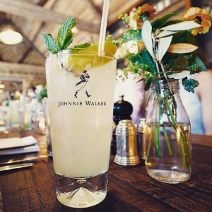 13643467_1112780948764789_1621190193_n