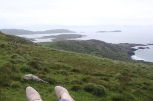 ginn us heather tw 24716