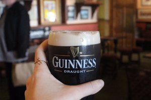 ginn us red fox tw 24716