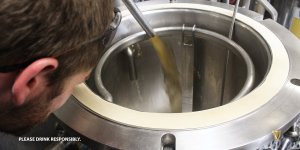 ginn us wort tw 22716