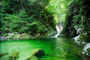 suntory water tw 26716