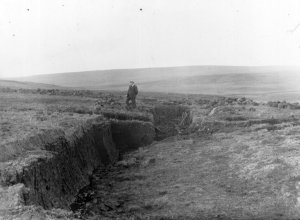 peat bog marketing tw 18816