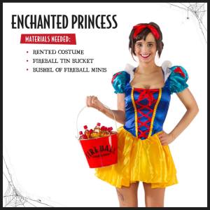 fball-princess-fb-241016