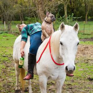 14709532_333277020382610_2458188608759136256_n