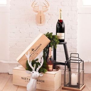 moet-santa-fb-261116