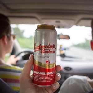 15877025_1416980258325711_8948826199602233344_n