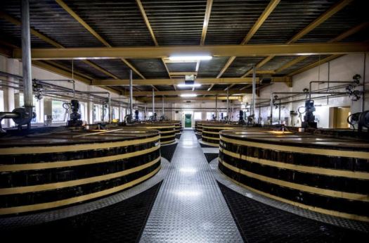 diageo cameronbridge