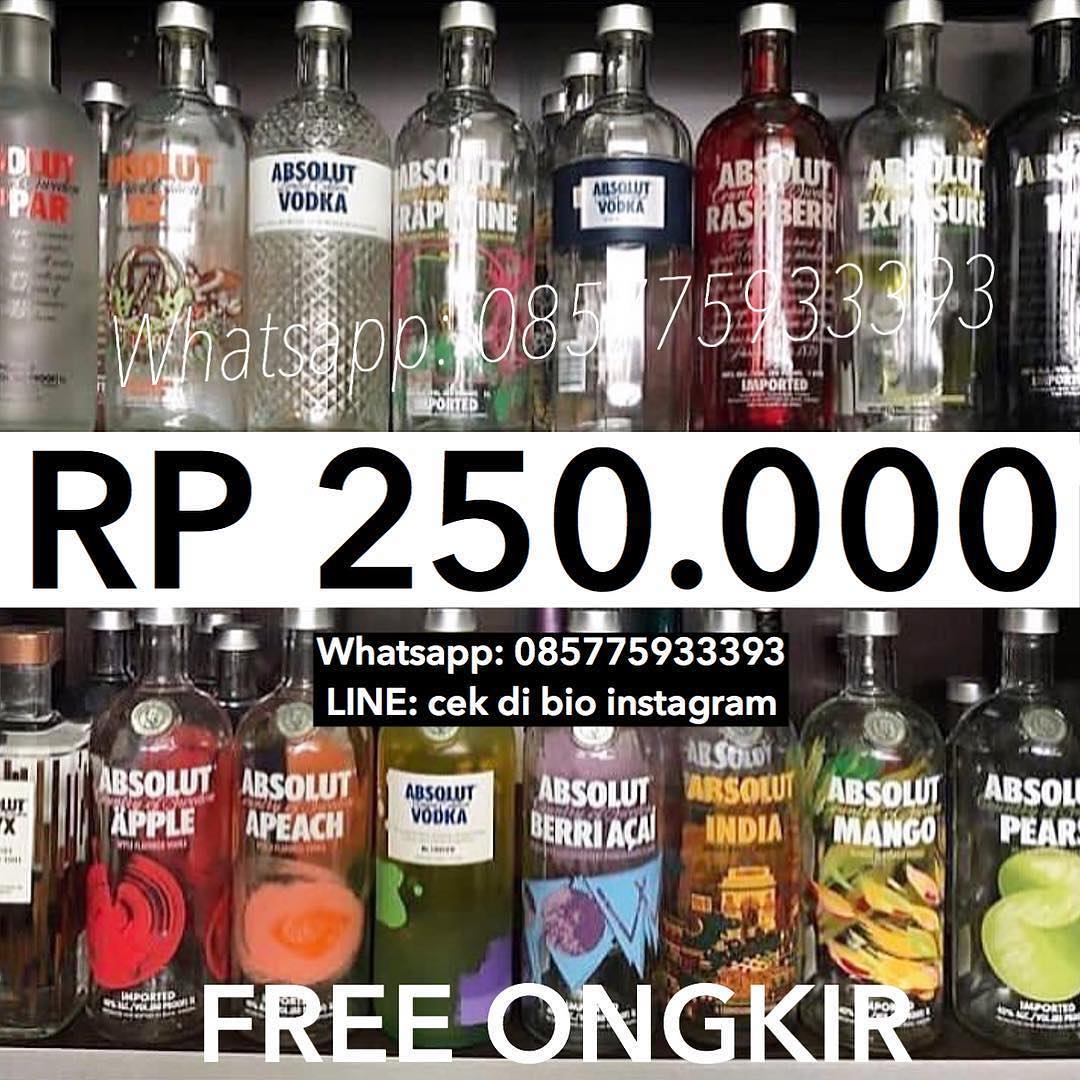 absolut whatsapp