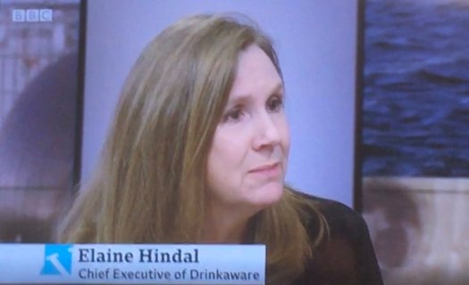 elaine hindal ceo drinkaware